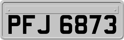 PFJ6873