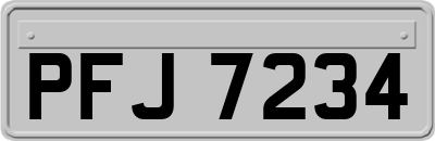 PFJ7234