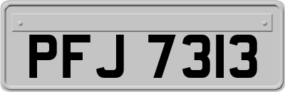 PFJ7313