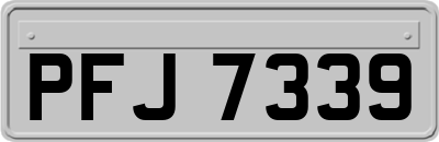 PFJ7339