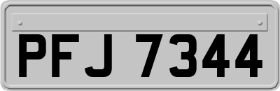 PFJ7344