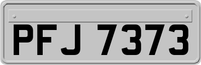 PFJ7373