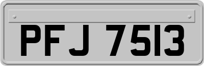 PFJ7513