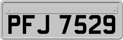 PFJ7529