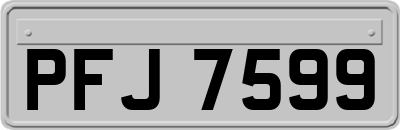 PFJ7599