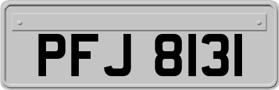 PFJ8131