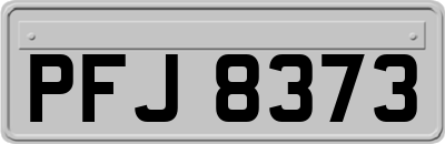 PFJ8373
