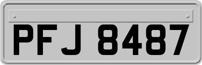 PFJ8487