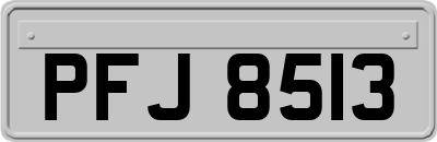 PFJ8513