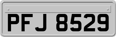 PFJ8529