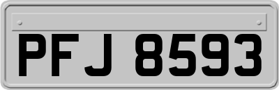 PFJ8593