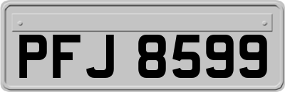PFJ8599