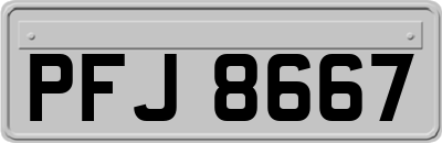 PFJ8667