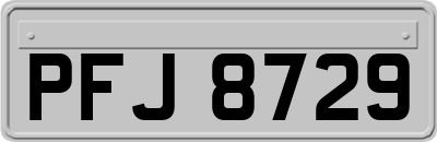 PFJ8729