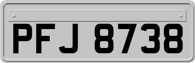 PFJ8738