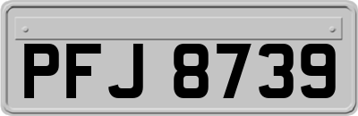 PFJ8739