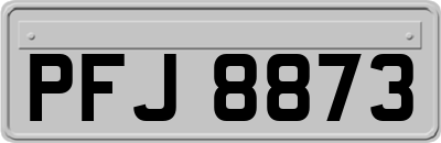 PFJ8873