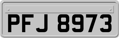 PFJ8973