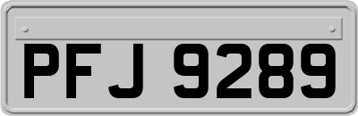PFJ9289