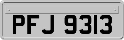 PFJ9313