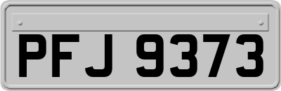 PFJ9373