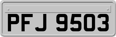 PFJ9503