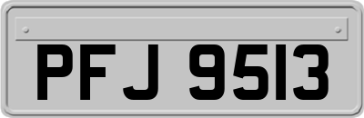 PFJ9513