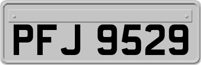 PFJ9529