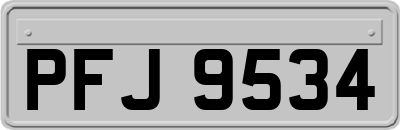 PFJ9534