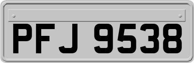 PFJ9538