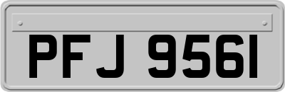 PFJ9561