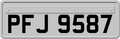 PFJ9587
