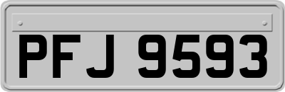 PFJ9593