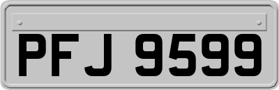 PFJ9599