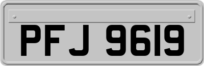 PFJ9619