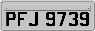 PFJ9739