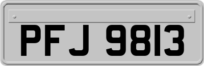 PFJ9813