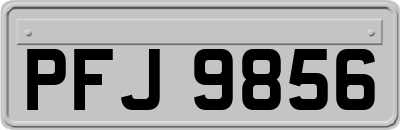 PFJ9856