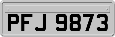 PFJ9873