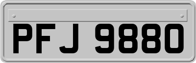 PFJ9880
