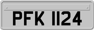 PFK1124