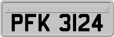 PFK3124