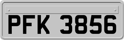 PFK3856