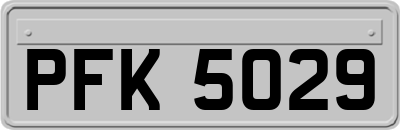 PFK5029