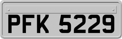 PFK5229