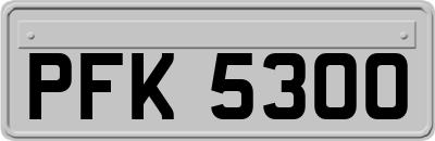 PFK5300