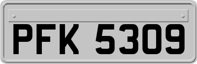 PFK5309