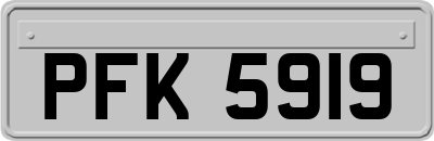 PFK5919