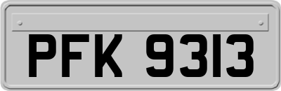 PFK9313
