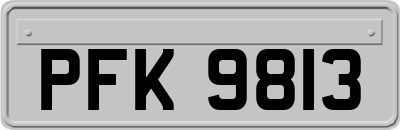 PFK9813